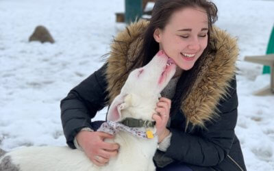 Apply for a free volunteer program assessment