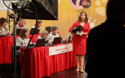 Join Michigan Humane for the 2021 Day of Giving Telethon