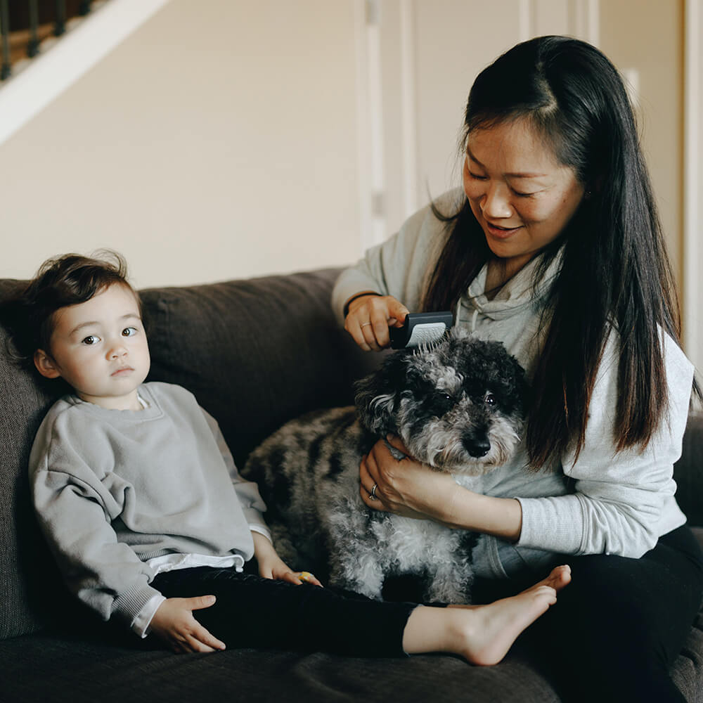 Dog with kid and mom