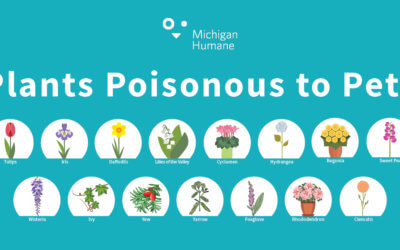 April Showers Bring May Flowers