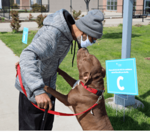A dog helped during One Health in Detroit