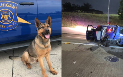 State Trooper K9 Killed in Crash With Suspected Drunk Driver