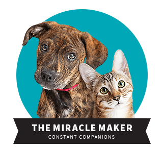THE MIRACLE MAKER