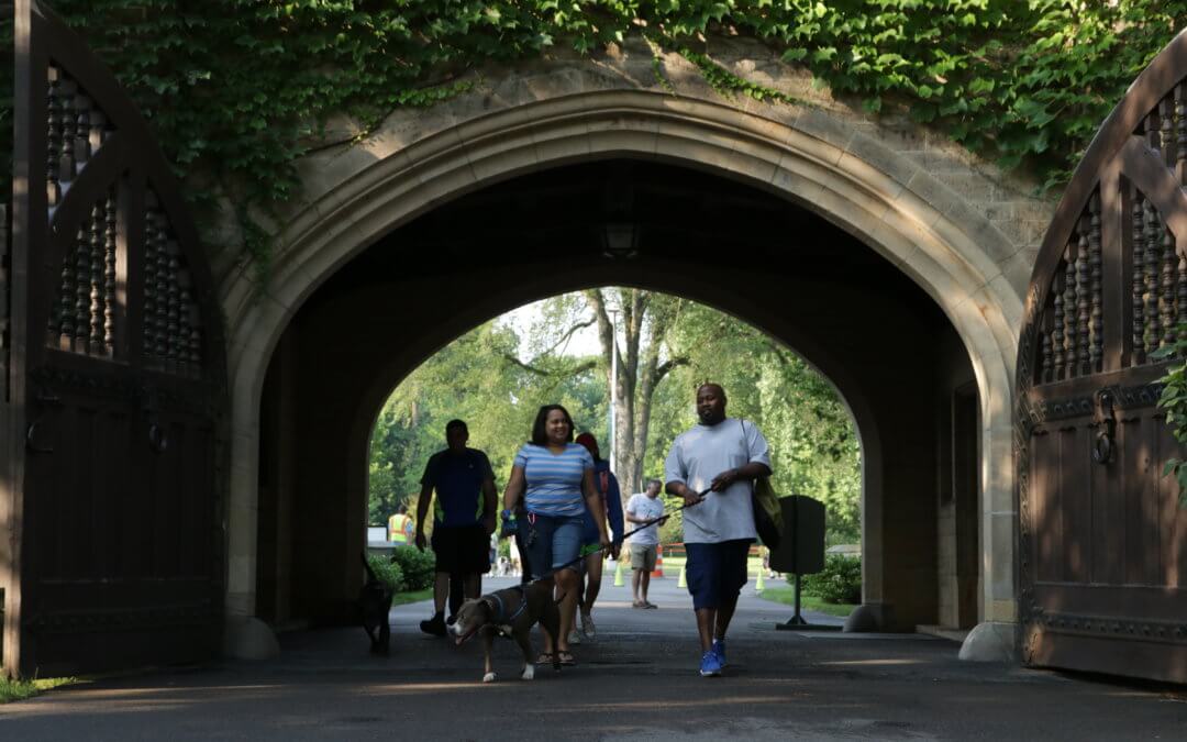 Join Michigan Humane For Mutt March Weekend