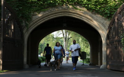 Join Michigan Humane For Mutt March Weekend