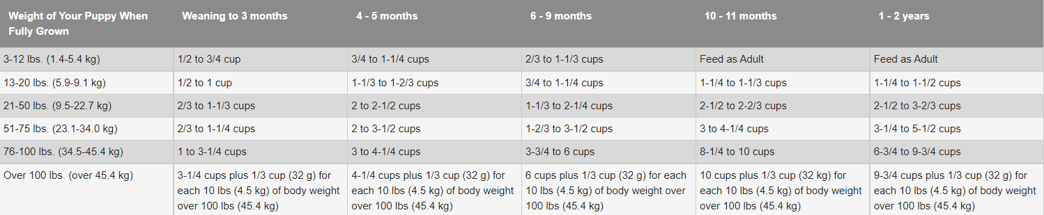 Puppy food amount