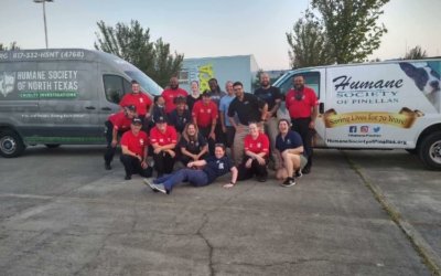 Michigan Humane’s Animal Search and Rescue Team Assists With Hurricane Ida Recovery Efforts