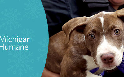 Your support this holiday season saves lives