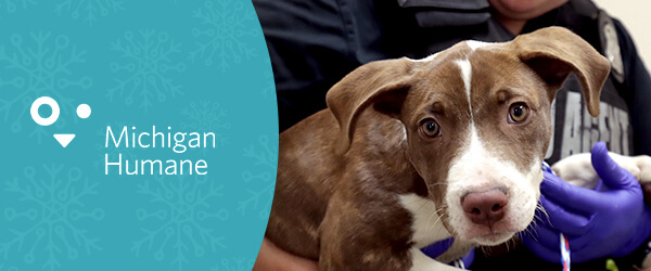 Your support this holiday season saves lives