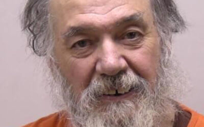 Over 160 dogs discovered at blighted property in Northern Michigan, owner in jail