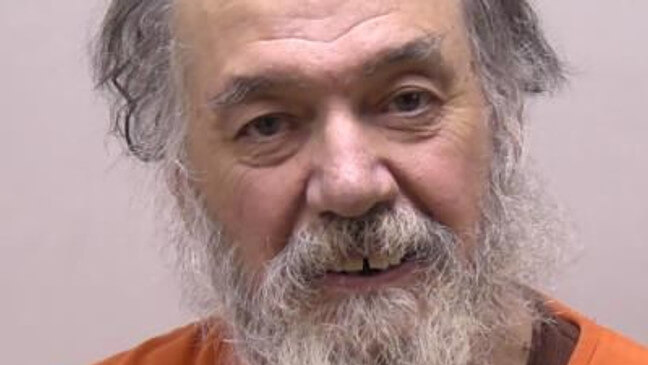 Over 160 dogs discovered at blighted property in Northern Michigan, owner in jail