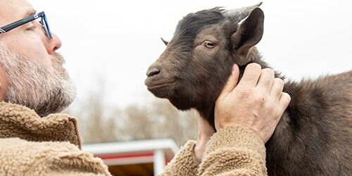 Michigan Humane Farm Animals