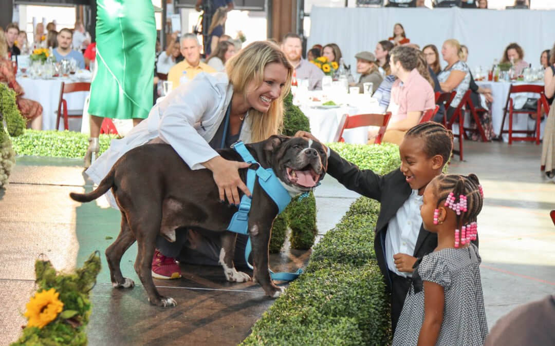 The Kibble –  Your Favorite Brunch of the Year is Back!