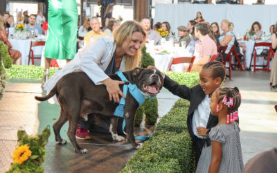 The Kibble –  Your Favorite Brunch of the Year is Back!