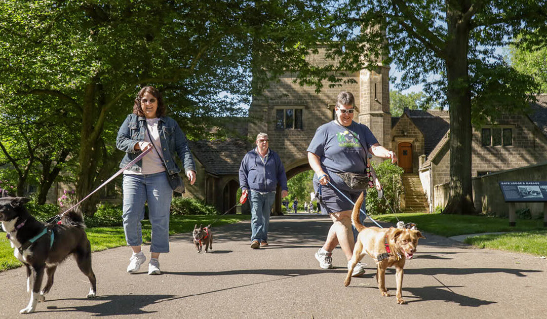 The Kibble –  A Successful Mutt March Changes More Lives