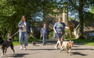 The Kibble –  A Successful Mutt March Changes More Lives