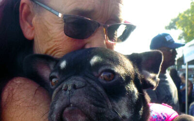 Companion Animals for Humane Support