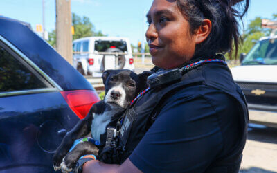 Beyond State Laws and Local Ordinances: Advocating for Federal Animal Welfare Legislation