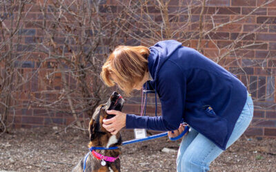 A True “Humane Hero”