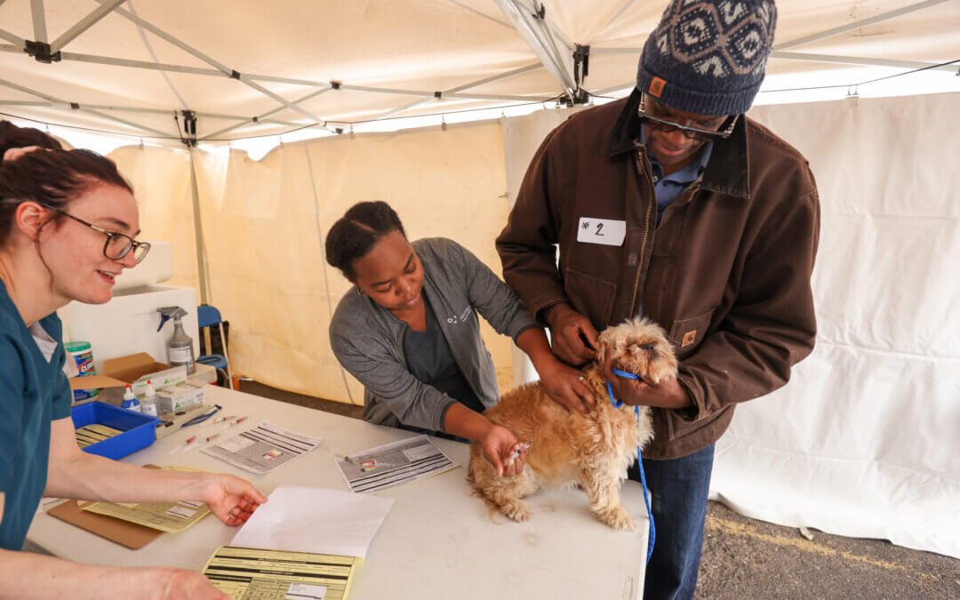 Cody Rouge Low-Cost Vaccine Clinic