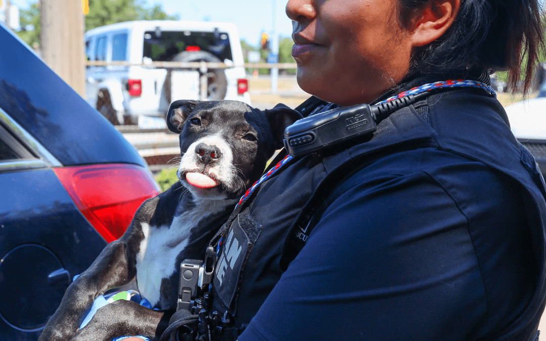 Update: Bond-or-forfeit Bills Pass Committee