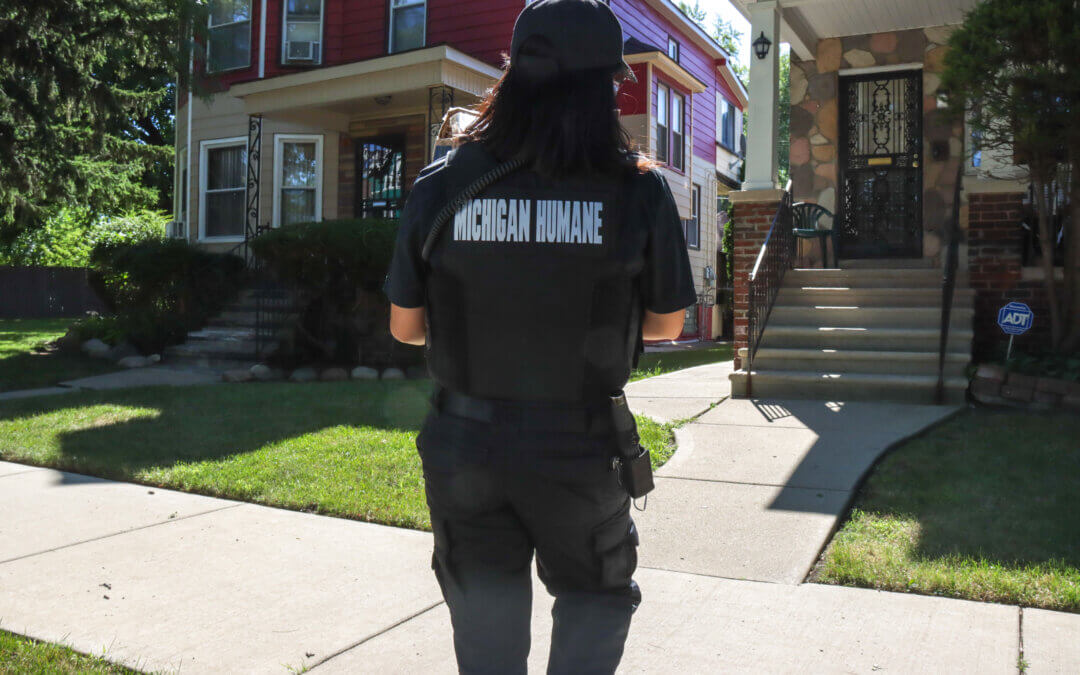 Sentencing Guidelines Bills Introduced