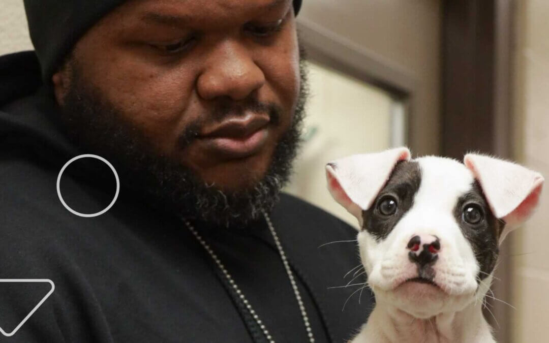 Update and Call to Action: Bond-or-forfeit Bills Pass Committee