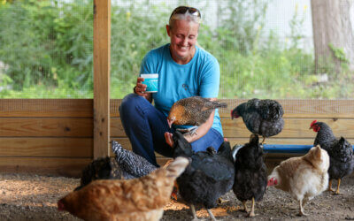 Abraham Ranch Update