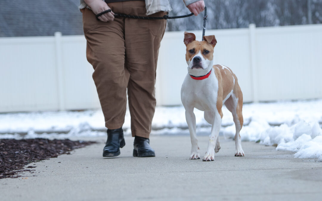 Better Together: New Years Resolutions 