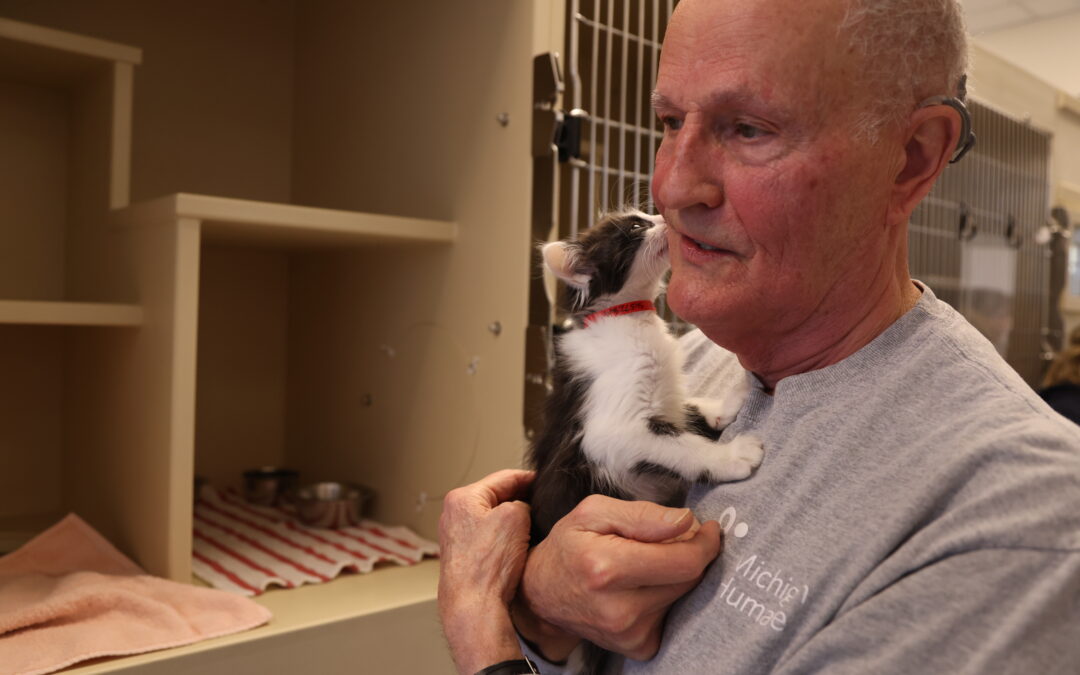 Benefits of Qualified Charitable Distributions