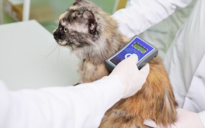 Michigan Humane Trivia