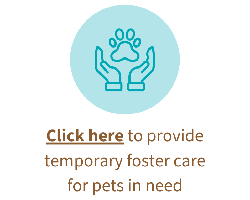 I want to foster