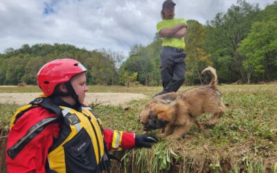 Animal Search and Rescuers Aid in Hurricane Helene Relief