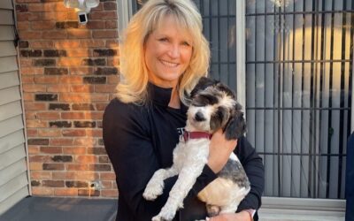 From the Purrfect Bow Wow Brunch to a Forever Home