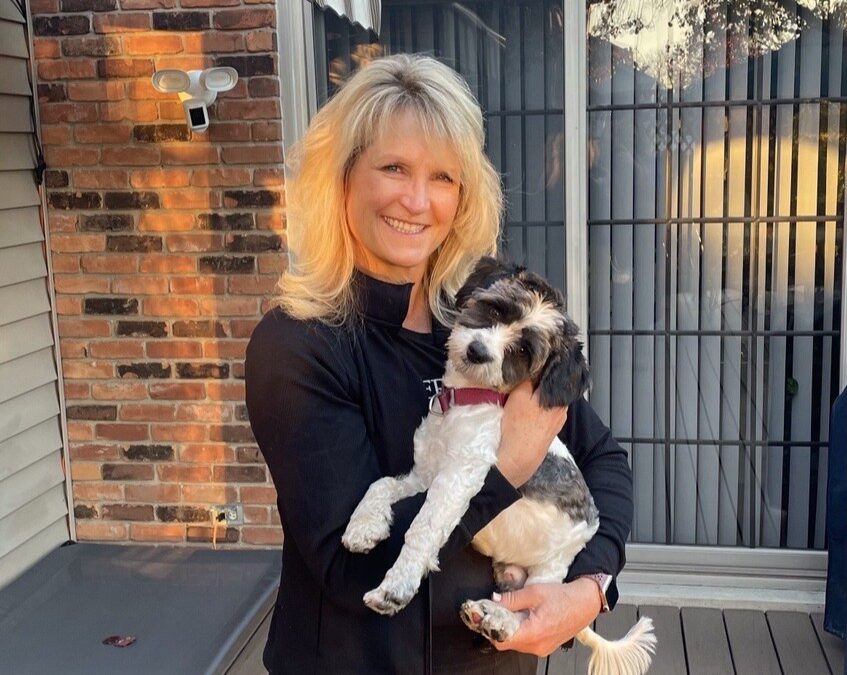 From the Purrfect Bow Wow Brunch to a Forever Home