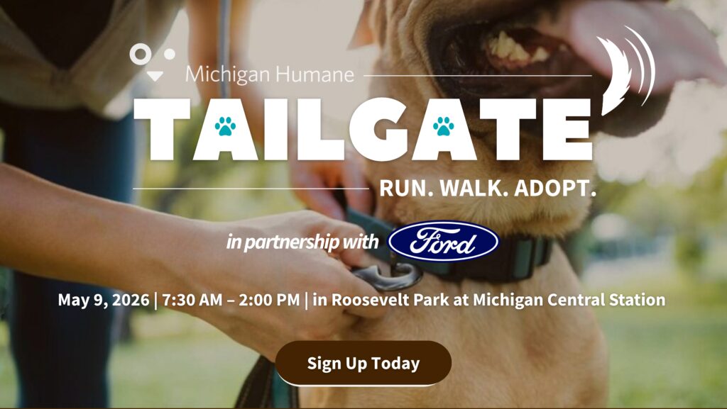 Michigan Humane Tailgate hero image featuring a person putting on a collar on a dog