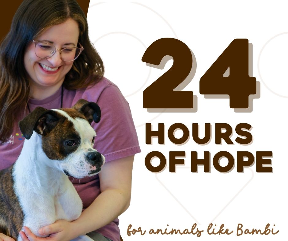 24 Hours of Hope. Donation doubled.