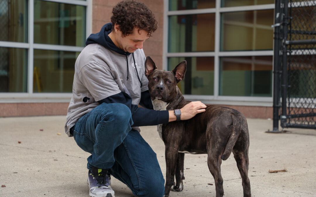 Person kneeling next to dog