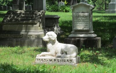 Regulating Pet Cemeteries in Michigan